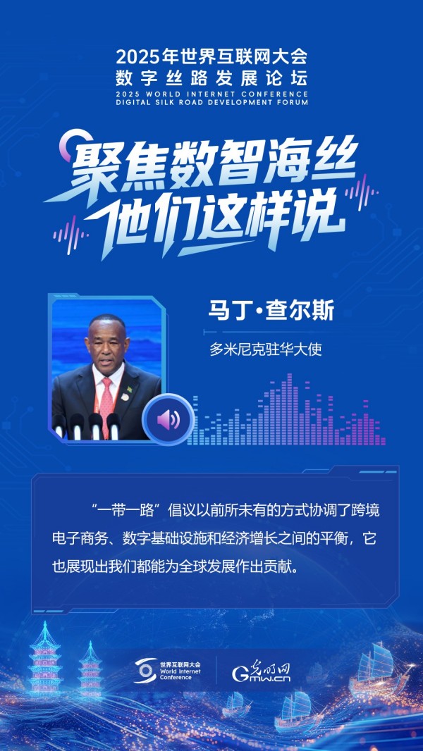 有声海报｜聚焦数智海丝，他们这样说