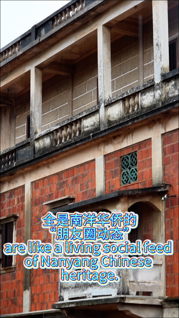 风吹梧林梦南洋