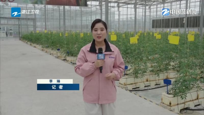 乌镇峰会倒计时丨智慧乌镇 让“未来”成为“日常”