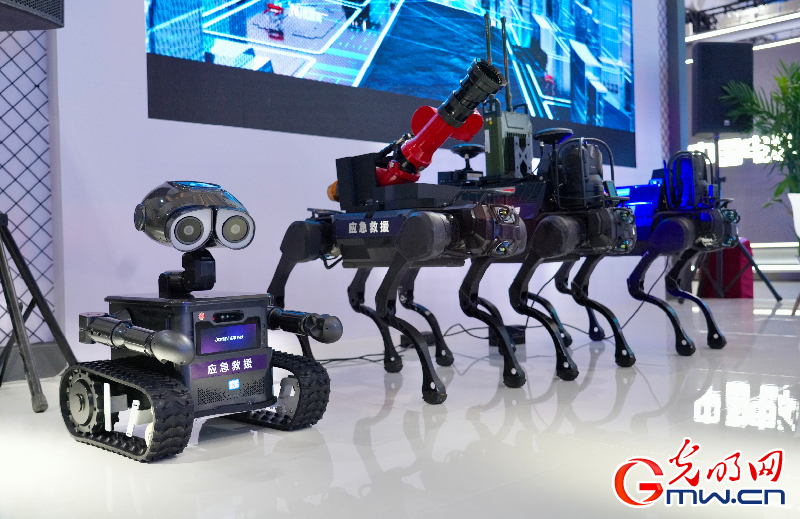 【乌镇视窗】互联网之光博览会丨洞察AI新局，智启数智未来