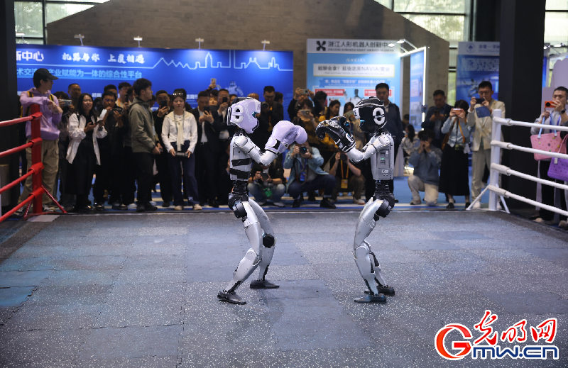 【乌镇视窗】互联网之光博览会|AI互动体验:科技“玩伴”让未来触手可及