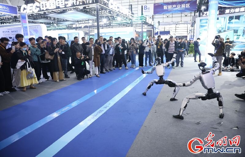 【乌镇视窗】互联网之光博览会|机器人带来的温暖与趣味