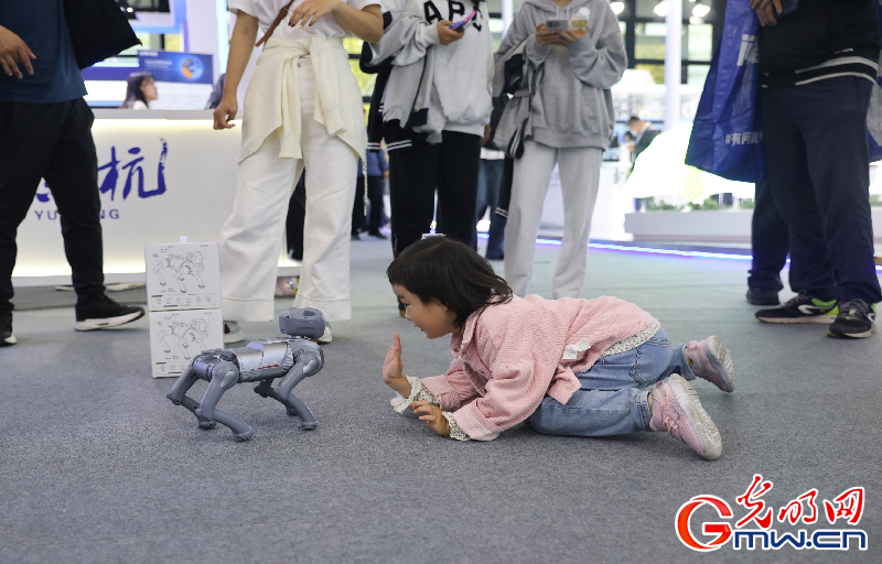 【乌镇视窗】互联网之光博览会|机器人带来的温暖与趣味