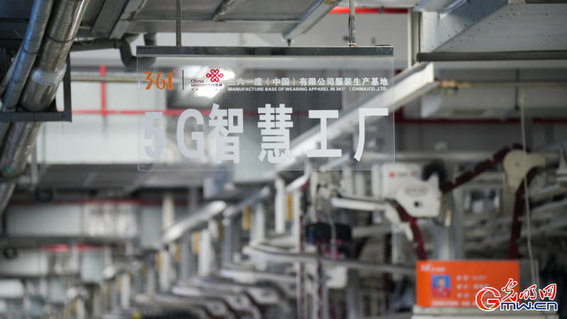 组图丨来海上丝绸之路起点探寻数智元素