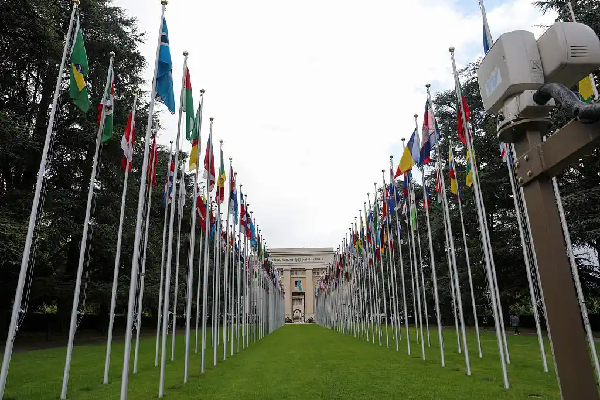 联合国大会任命“人工智能独立国际科学小组”成员