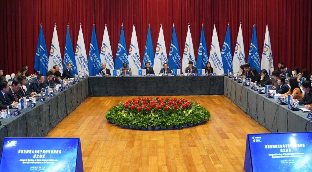 世界互联网大会电子商务专业委员会成立