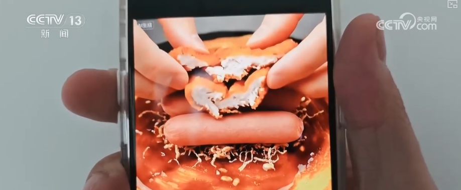 “AI+”丰富多元“更新”现象遍布千行百业 中国AI“加速跑”迈入应用爆发期