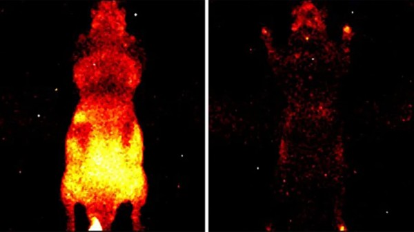 科技创新世界潮丨曾处于科学探索边缘,生物光子研究正被重新审视